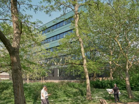 Paradise SE11 Mass Timber Office